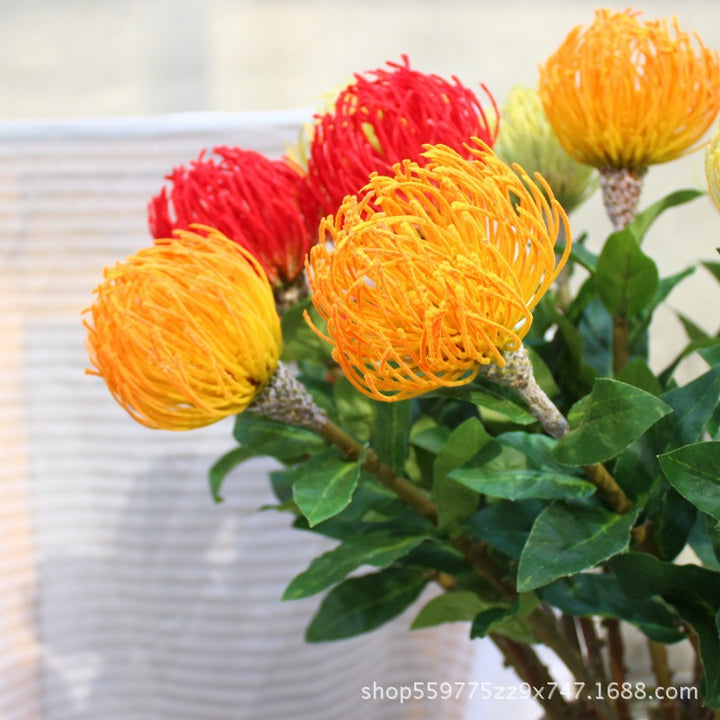 Realistic Protea Flower Stem