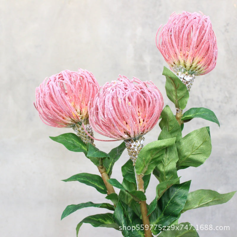 Realistic Protea Flower Stem