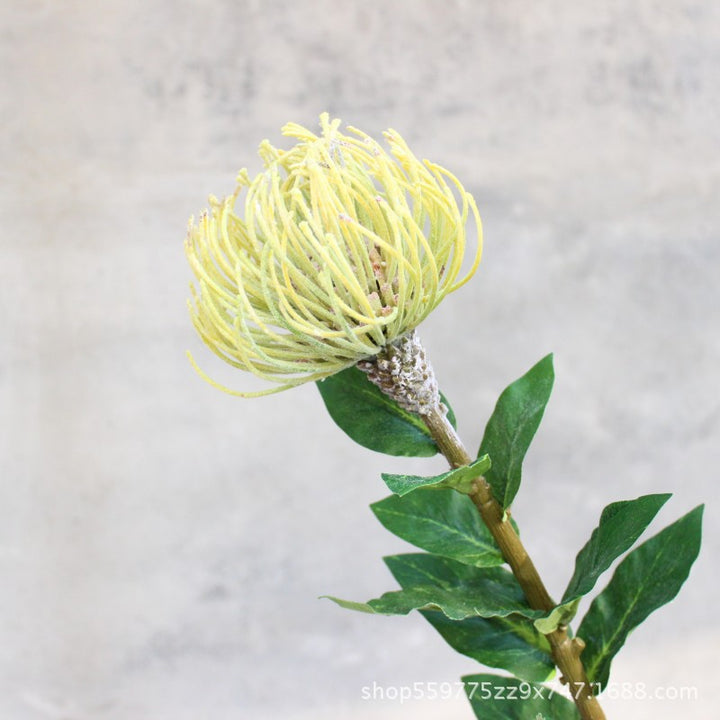 Realistic Protea Flower Stem