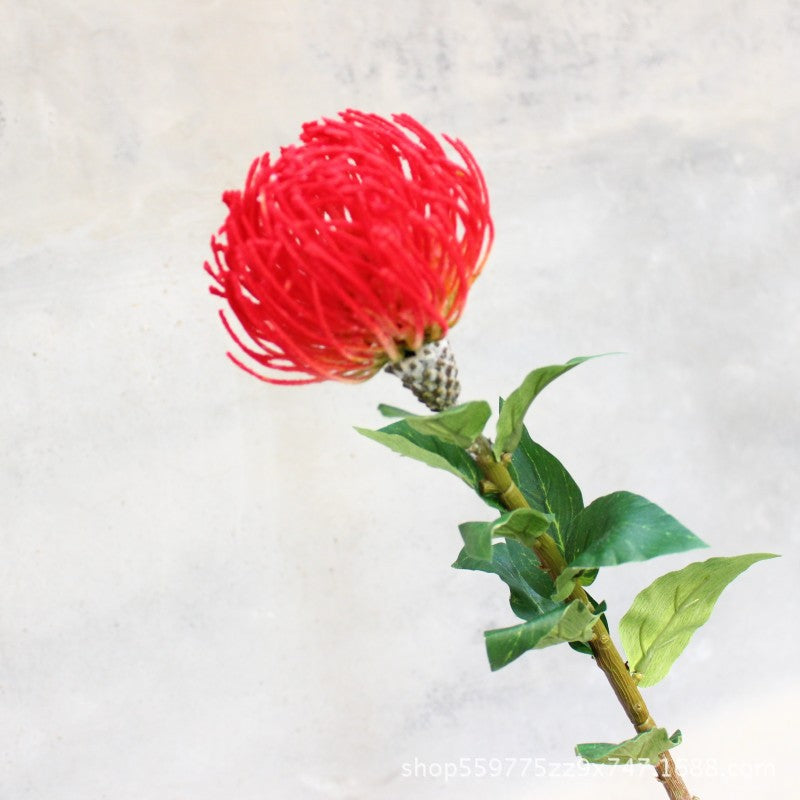 Realistic Protea Flower Stem
