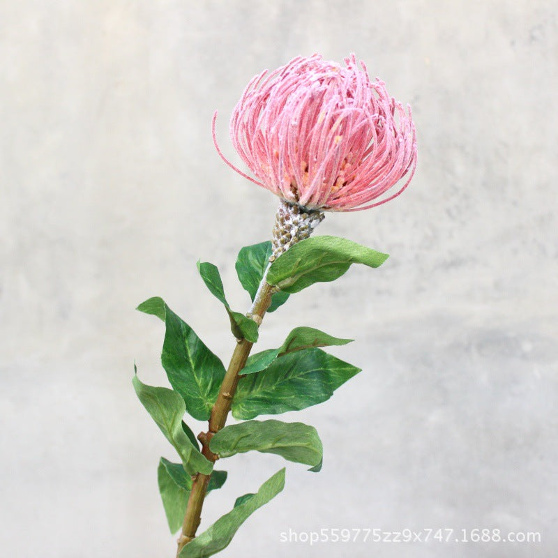 Realistic Protea Flower Stem