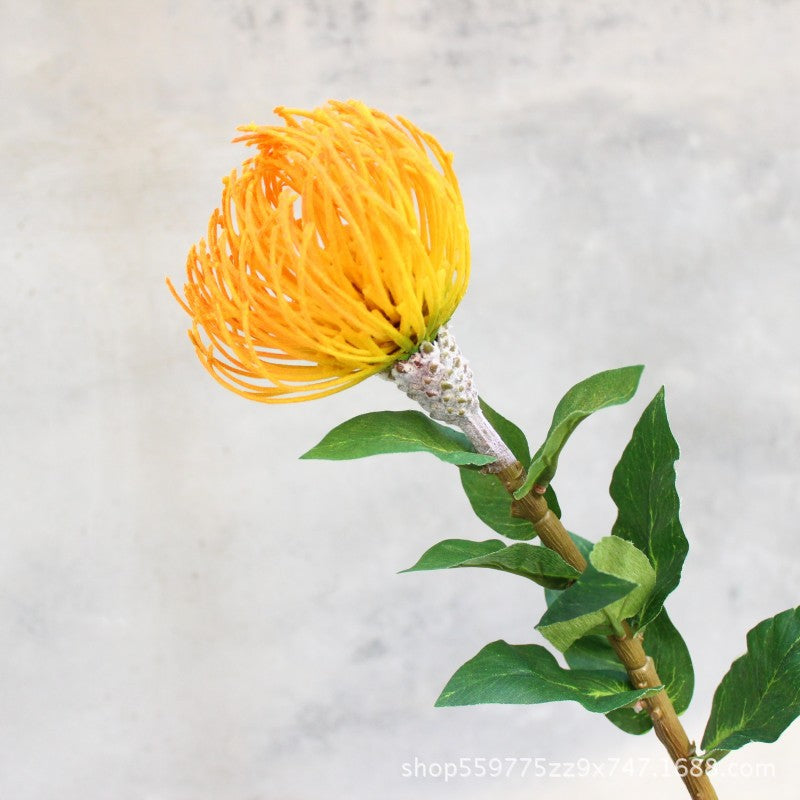 Realistic Protea Flower Stem