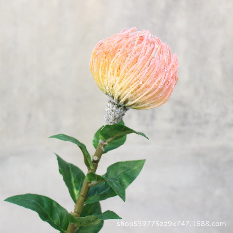 Realistic Protea Flower Stem