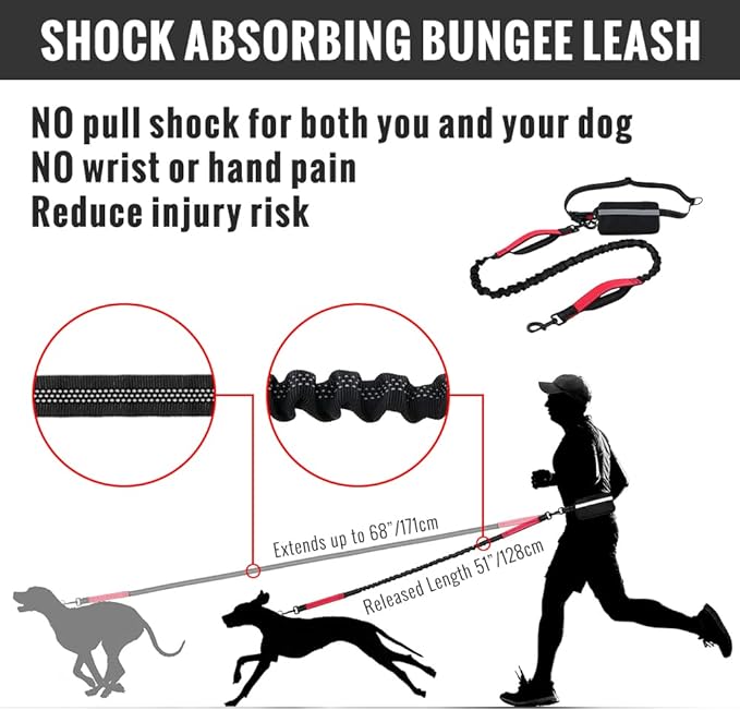 FlowLeash — Experience gentle control and relaxed walks without jerks! | Stornfield