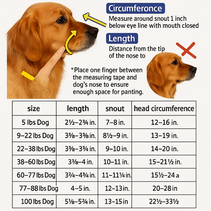 GuardPaw — Finally enjoy every walk worry-free and secure | Stornfield