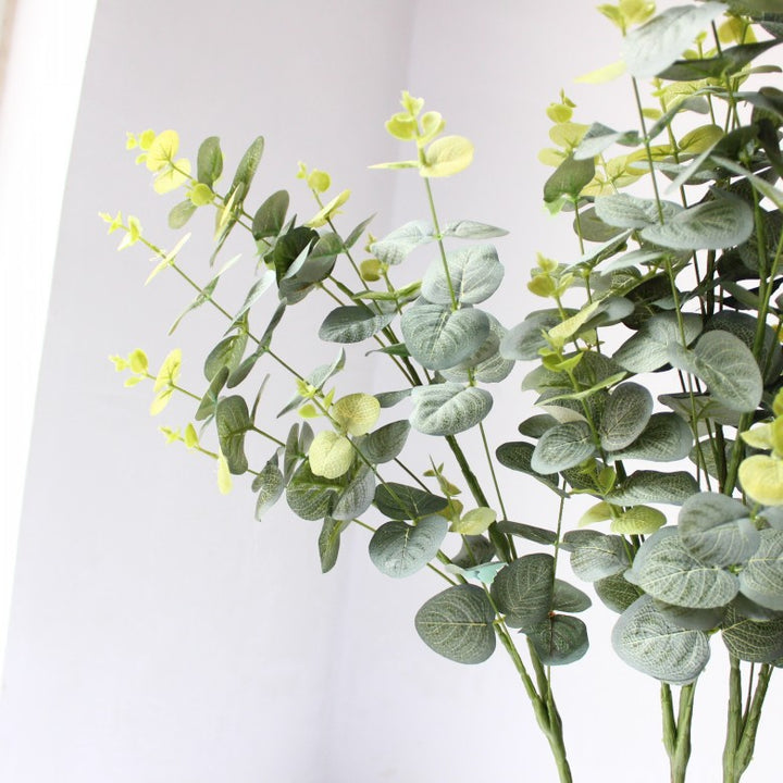 Decorative Eucalyptus Stem