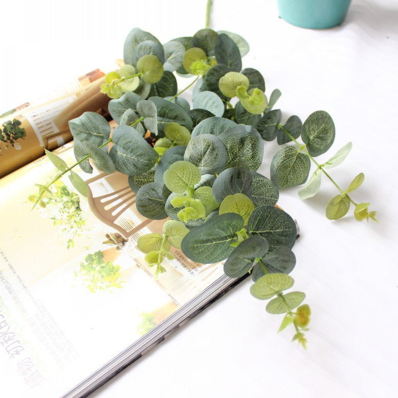Decorative Eucalyptus Stem