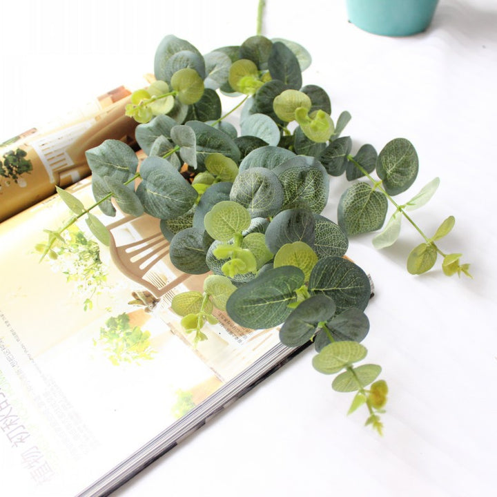 Decorative Eucalyptus Stem