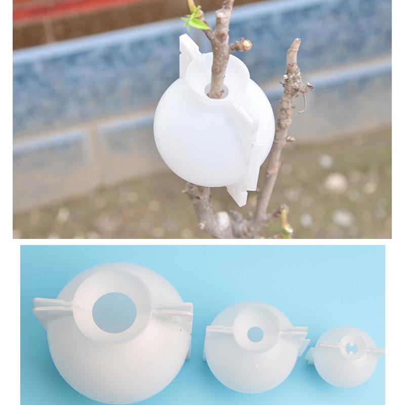 Air Layer Plant Propagation Capsule | Stornfield