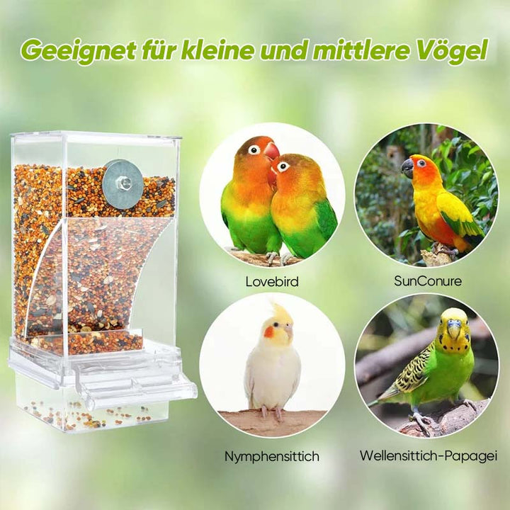 Automatic, leak-proof bird feeder | Stornfield