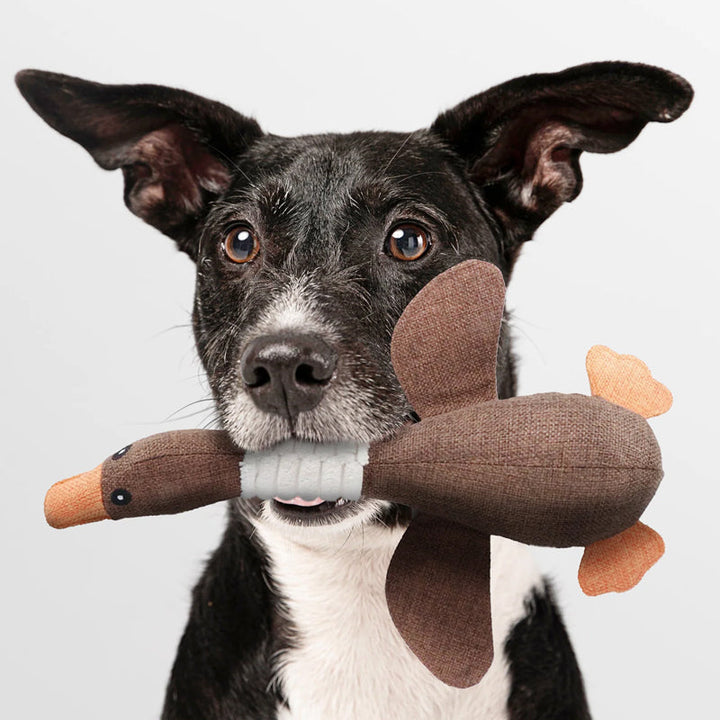 Stornfield | Jouet pour chien indestructible (1+1 GRATUIT) - ToughGoose