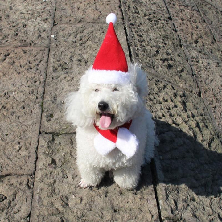 Christmas Decoration Santa Hat with Scarf | Stornfield