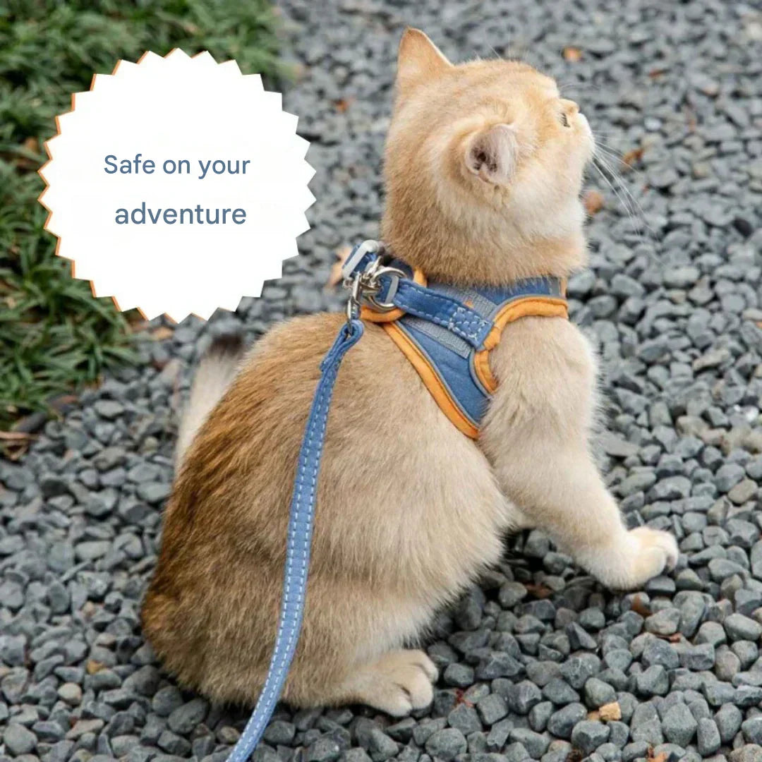 Adventurous Cat Harness with Leash – Adjustable and Reflective | Stornfield