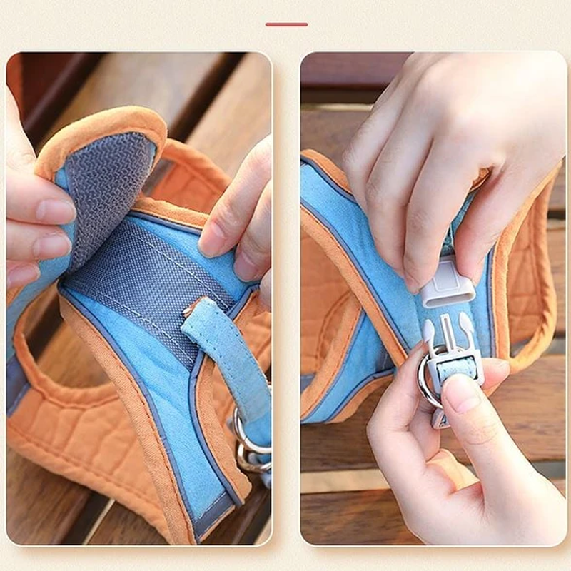 Harness and Leash Set for Cat | Stornfield