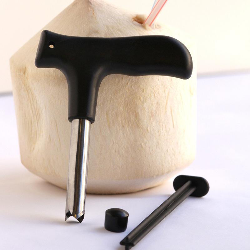 Coconut opening tool in Stainless Steel | Stornfield