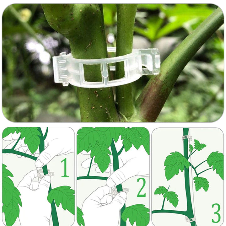 Plastic ring for holding plants | Stornfield