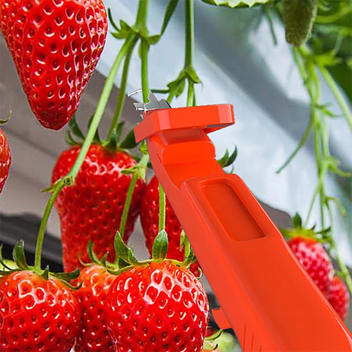 Efficient Pepper Picking Tools | Stornfield