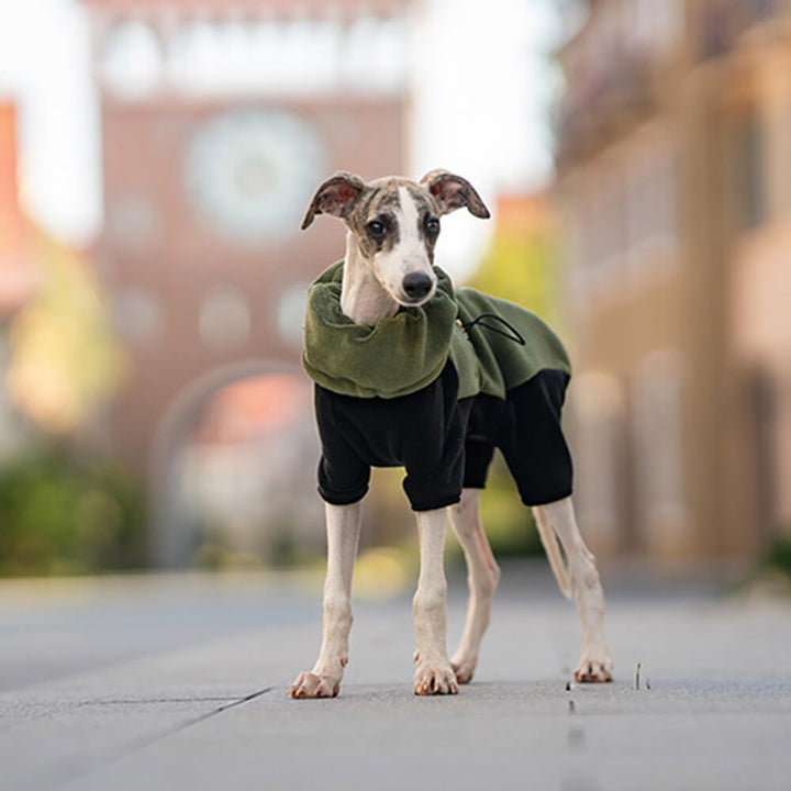 Stornfield | Full Protection Fleece Dog Bodysuit with Detachable Collar