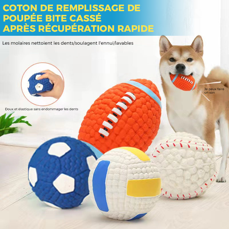 Immortal toy for aggressive chewers | Stornfield