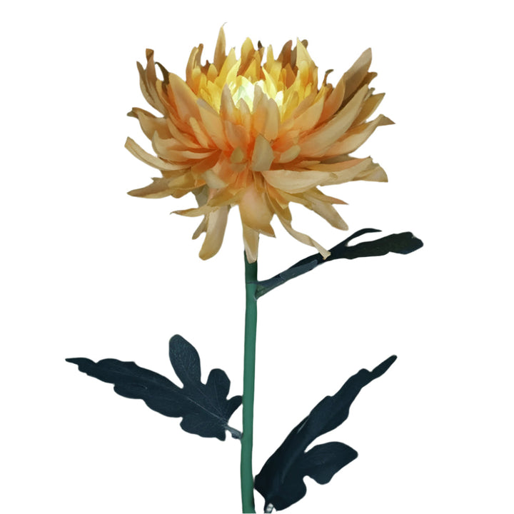 Stornfield Color-Changing LED Outdoor Decor – Powered Garden Lights