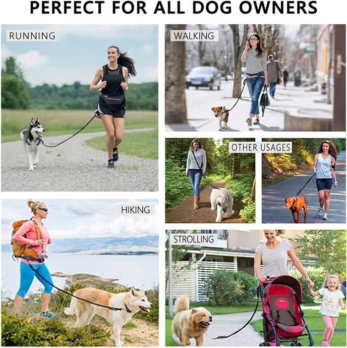 FlowLeash — Experience gentle control and relaxed walks without jerks! | Stornfield