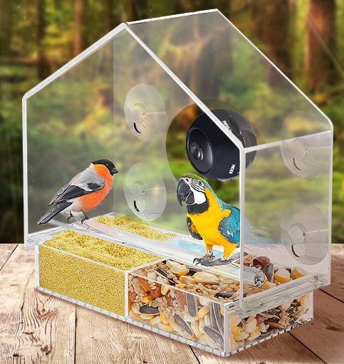Smart Bird Feeder with Live Camera | Stornfield