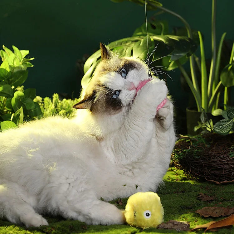 Stornfield | – Smarter Interactive Plush Ball for Cats | Buy 1, Get 1 Free 🎁