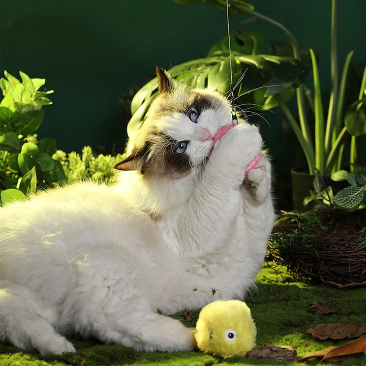 Stornfield | – Smarter Interactive Plush Ball for Cats | Buy 1, Get 1 Free 🎁