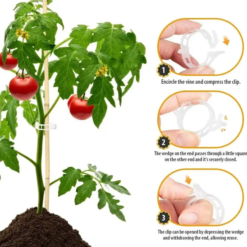 VitaGrip Clips — Strong hold for majestic plants that grow and thrive proudly | Stornfield