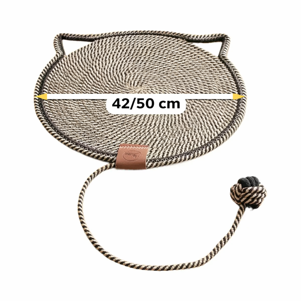 2-in-1 Cat Scratching Carpet & Play Mat Stornfield