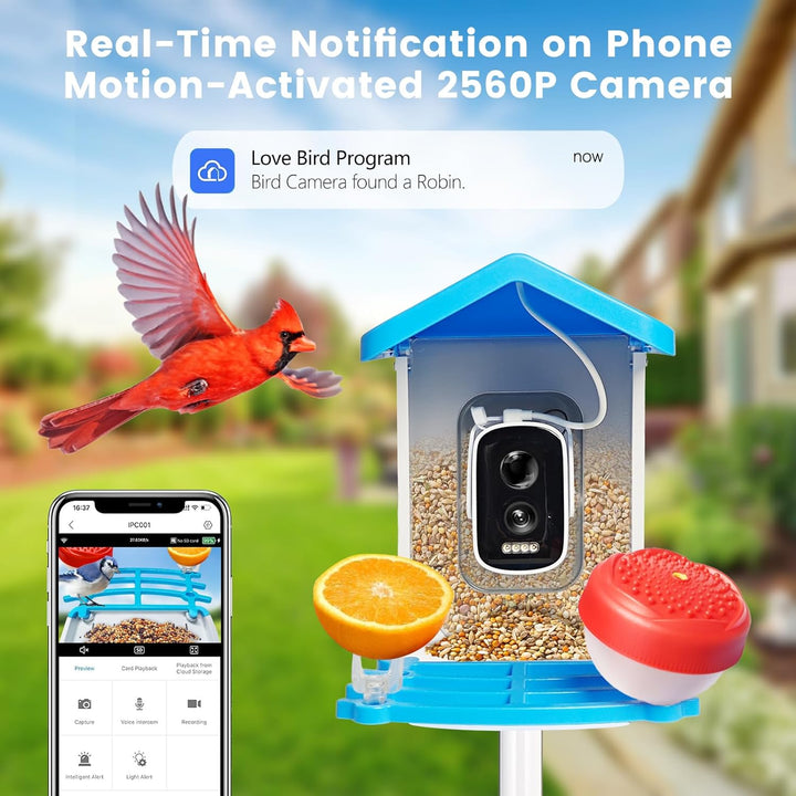 Smart Bird Feeder with Solar Camera – AI Bird Recognition & Night Vision | Stornfield