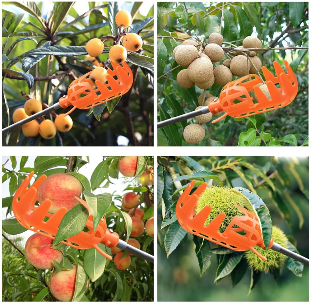 Fruit Picker | Stornfield