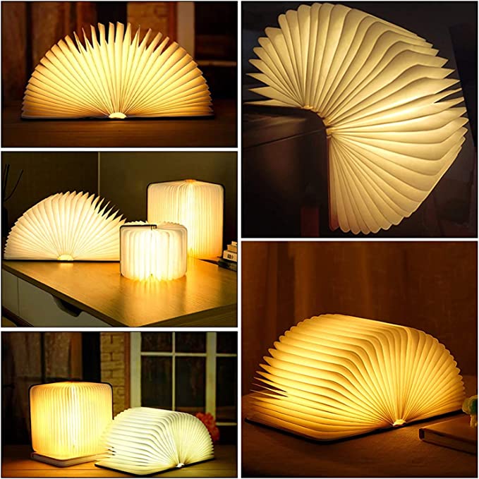 Stornfield | Frendorf Book Light