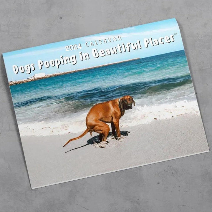 Funniest Calendar-Dogs Pooping in Beautiful Places | "Artistic Expression" of Furry Friends | Stornfield