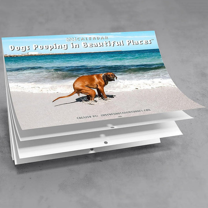 Funniest Calendar-Dogs Pooping in Beautiful Places | "Artistic Expression" of Furry Friends | Stornfield