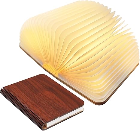 Stornfield | Frendorf Book Light