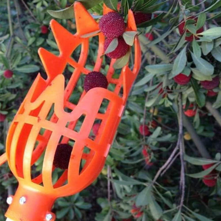Fruit Picker | Stornfield