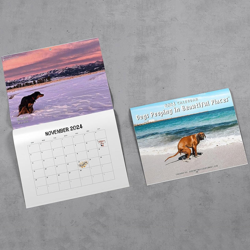 Funniest Calendar-Dogs Pooping in Beautiful Places | "Artistic Expression" of Furry Friends | Stornfield