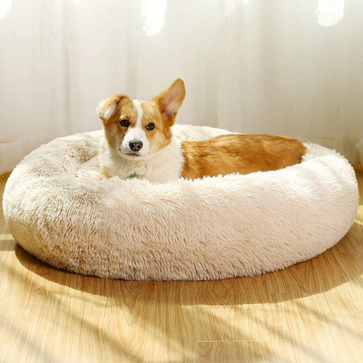 Stornfield | Donut Lit pour Chien en Peluche Calmant pour Chiens Petit à Grand