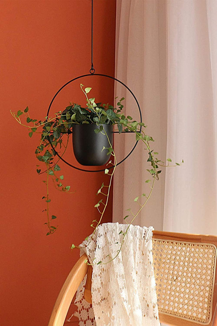 HaloRing Hanging Plant Holder – Metal Hanging Planter for Indoor and Outdoor | Stornfield