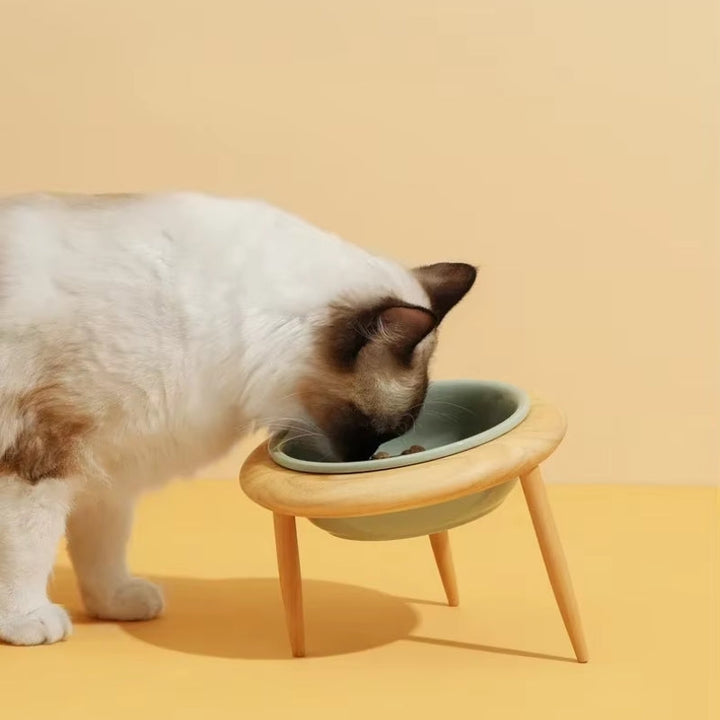 Stornfield | Bol en céramique élevé pour chat Misha avec support en bois