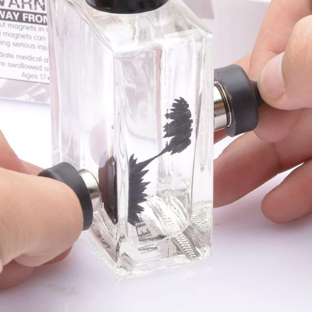 Ferrofluid Magnetic Display Toy | Stornfield