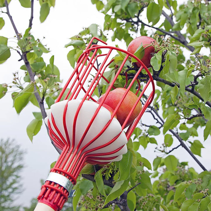 Fruit Picker Tool | Stornfield