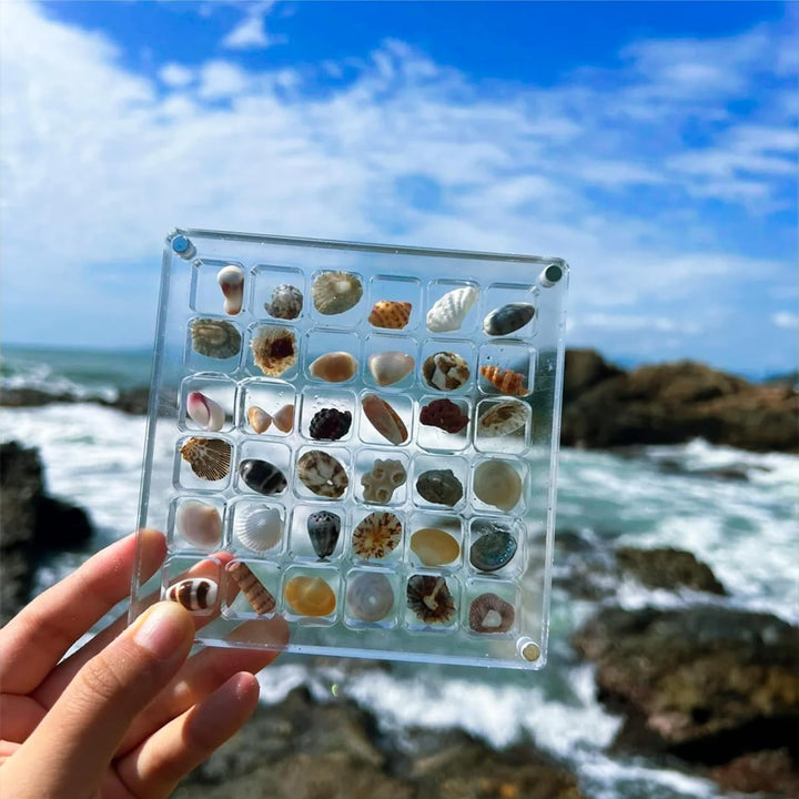 Acrylic Treasure Keeper | Stylishly Store Your Sea Collection | Stornfield