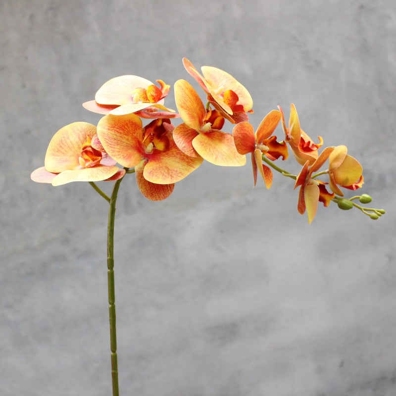 Decorative Blooming Orchid Stem