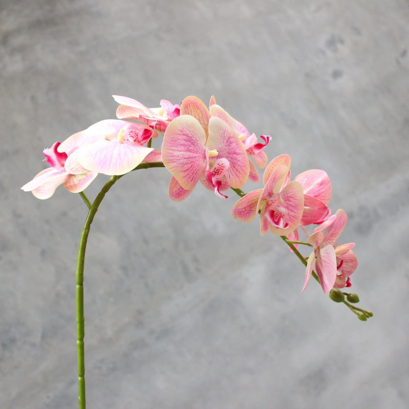 Decorative Blooming Orchid Stem