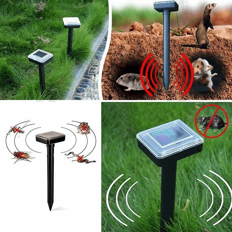 Repel pests - Healthy and protected garden - Environmentally friendly and effective | Stornfield