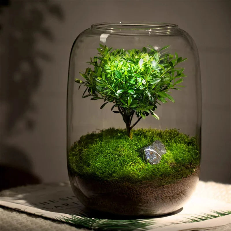 Micro Landscape Green Oasis Glass Vase | Stornfield