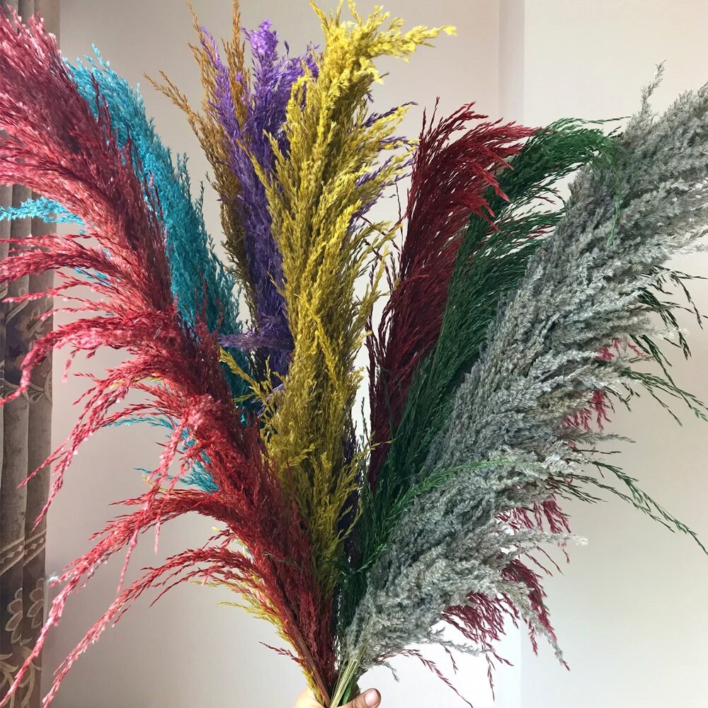 Stornfield | FeatherFawn - Dried Pampas Flowers