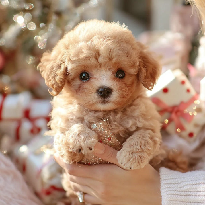 Stornfield | SnugglePup – Realistic Plush Puppy with Lifelike Details